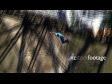 Bungy Jump 2 946